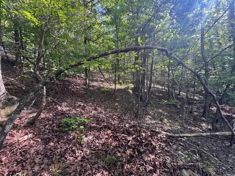 0 Smithers Rd, Paron, AR 72122 photo 11