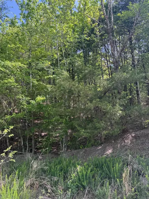 0 Smithers Rd, Paron, AR 72122 photo 14
