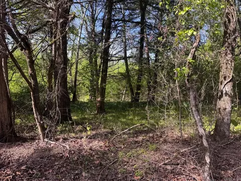 0 Smithers Rd, Paron, AR 72122 photo 8