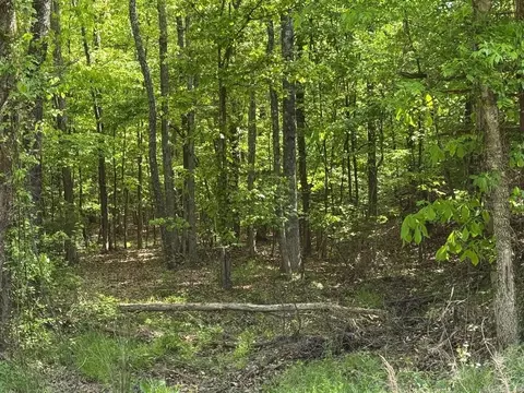 0 Smithers Rd, Paron, AR 72122 photo 7