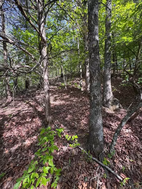 0 Smithers Rd, Paron, AR 72122 photo 12