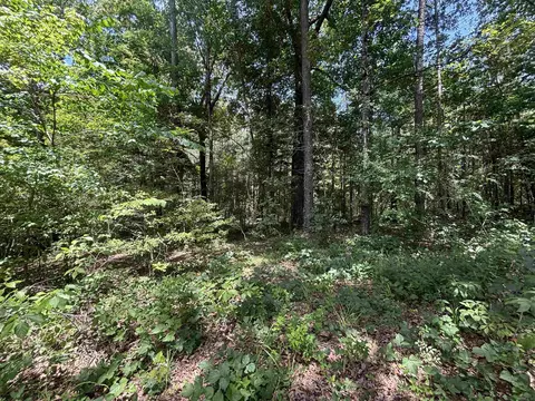 Exterior - 2230 Grant 29 Rd, Pine Bluff, AR 71603 photo 6 of 9