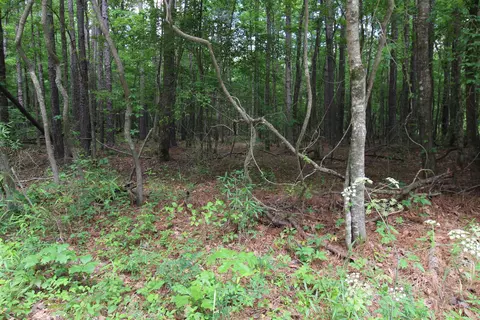 Other - 2230 Grant County Road 29, Pine Bluff, AR 71603 photo 13 of 13