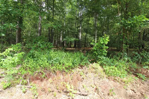 Other - 2230 Grant County Road 29, Pine Bluff, AR 71603 photo 2 of 13