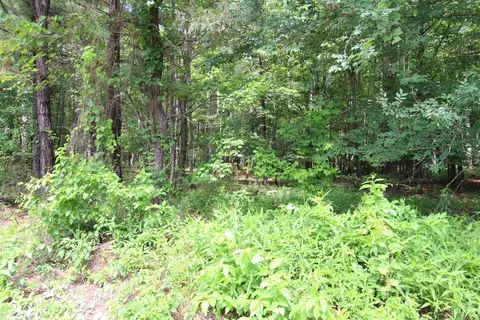Other - 2230 Grant County Road 29, Pine Bluff, AR 71603 photo 4 of 13