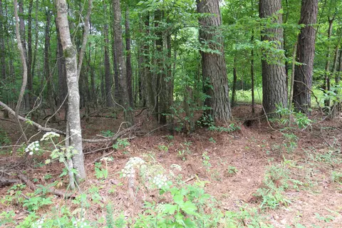 Other - 2230 Grant County Road 29, Pine Bluff, AR 71603 photo 12 of 13