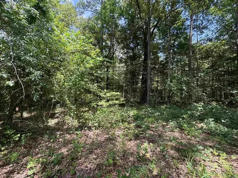 Exterior - 2230 Grant 29 Rd, Pine Bluff, AR 71603 photo 7 of 9