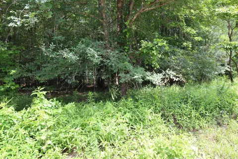 Other - 2230 Grant County Road 29, Pine Bluff, AR 71603 photo 6 of 13