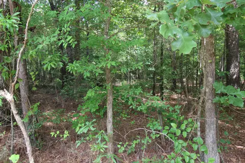 Other - 2230 Grant County Road 29, Pine Bluff, AR 71603 photo 8 of 13