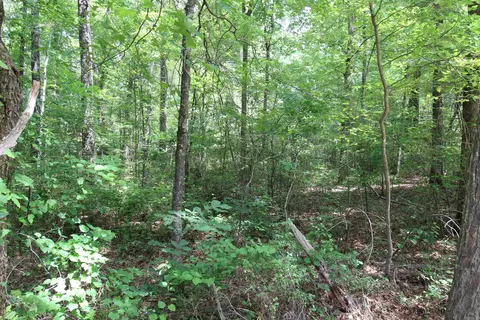 Other - 2230 Grant County Road 29, Pine Bluff, AR 71603 photo 7 of 13
