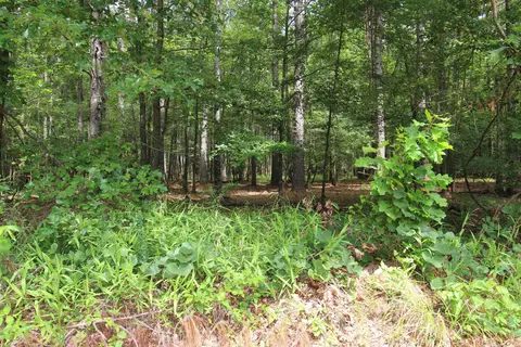 Other - 2230 Grant County Road 29, Pine Bluff, AR 71603 photo 3 of 13