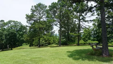 Exterior - 225 1, Amity, AR 71921 photo 5 of 10