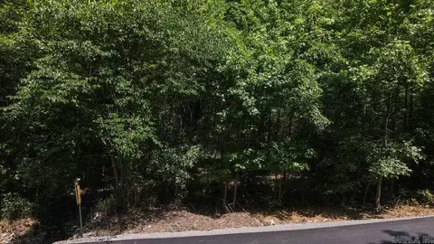 00 Wilderness Rd, Greenbrier, AR 72058 photo 2