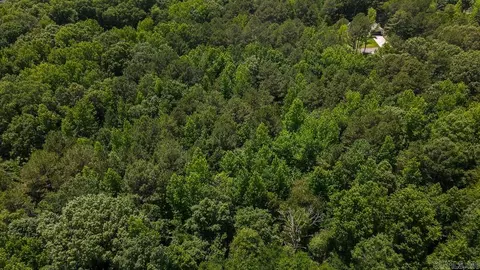 00 Wilderness Rd, Greenbrier, AR 72058 photo 5