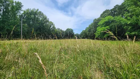 1108 Owley Rd, Mount Ida, AR 71957 photo 8