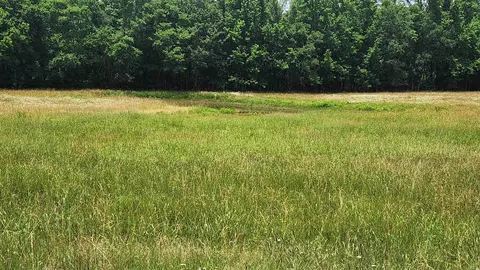 1108 Owley Rd, Mount Ida, AR 71957 photo 22