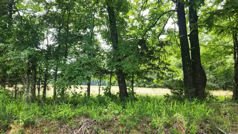 1108 Owley Rd, Mount Ida, AR 71957 photo 40