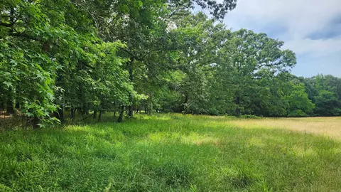 1108 Owley Rd, Mount Ida, AR 71957 photo 16