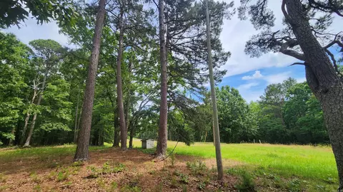 1108 Owley Rd, Mount Ida, AR 71957 photo 44