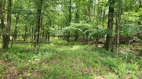 1108 Owley Rd, Mount Ida, AR 71957 photo 13