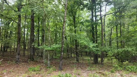1108 Owley Rd, Mount Ida, AR 71957 photo 48