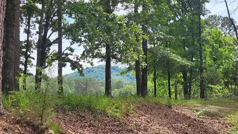 1108 Owley Rd, Mount Ida, AR 71957 photo 50