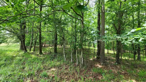 1108 Owley Rd, Mount Ida, AR 71957 photo 12