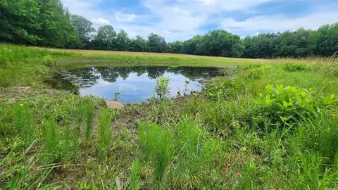 1108 Owley Rd, Mount Ida, AR 71957 photo 37