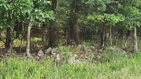 1108 Owley Rd, Mount Ida, AR 71957 photo 26