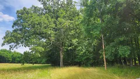 1108 Owley Rd, Mount Ida, AR 71957 photo 19