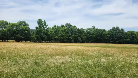 1108 Owley Rd, Mount Ida, AR 71957 photo 17
