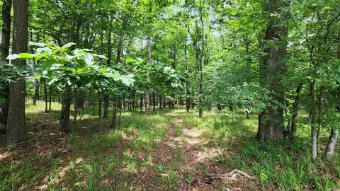 1108 Owley Rd, Mount Ida, AR 71957 photo 11