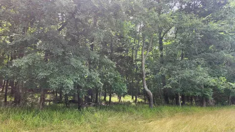 1108 Owley Rd, Mount Ida, AR 71957 photo 24