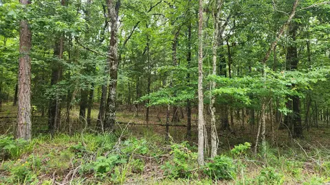 1108 Owley Rd, Mount Ida, AR 71957 photo 49