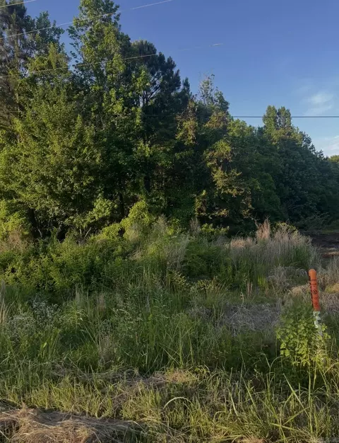 lot6 Parkwood, Monticello, AR 71655