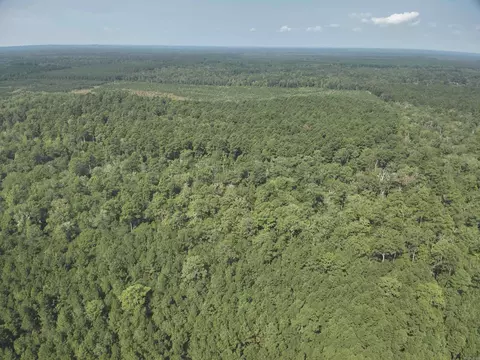 56 Field, Camden, AR 71701