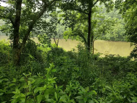 890 S River View Ln, Mountain View, AR 72556 photo 21
