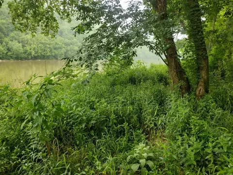 890 S River View Ln, Mountain View, AR 72556 photo 8