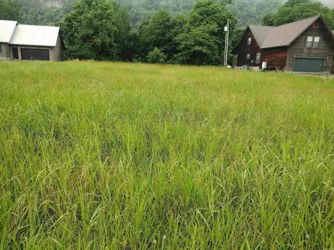 890 S River View Ln, Mountain View, AR 72556 photo 17