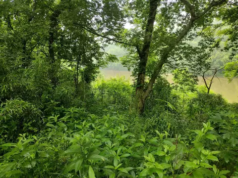 890 S River View Ln, Mountain View, AR 72556 photo 22