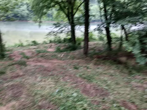 890 S River View Ln, Mountain View, AR 72556 photo 11