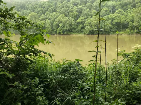 890 S River View Ln, Mountain View, AR 72556