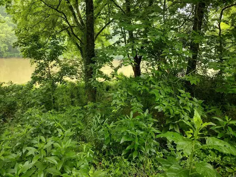 890 S River View Ln, Mountain View, AR 72556 photo 20