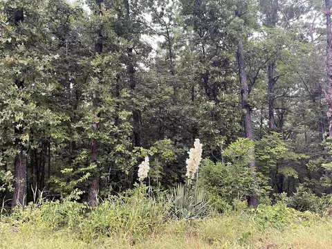 tbd Blackfoot Dr, Cherokee Village, AR 72529