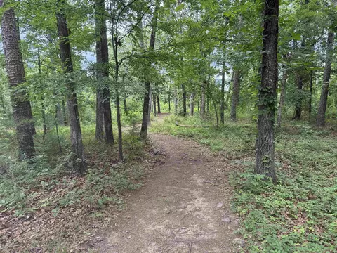 Other - 98 Lakeside Dr, Higden, AR 72067 photo 8 of 10