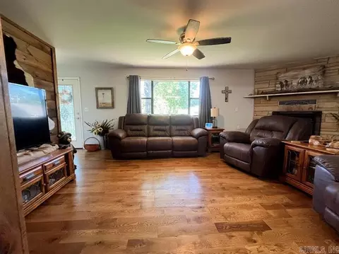 Living - 313 Beatrice St, Thayer, MO 65791 photo 2 of 3