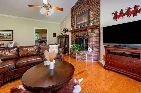 Living - 32 Rodeo Dr, Austin, AR 72007 photo 3 of 5