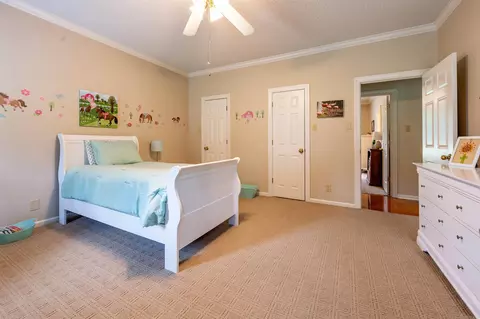Bedroom - 32 Rodeo Dr, Austin, AR 72007 photo 2 of 4