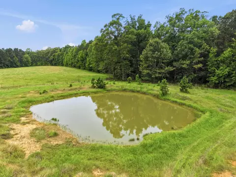 View/Area - 1083 Grant 18, Grapevine, AR 72057 photo 3 of 6