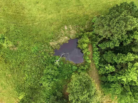 View/Area - 1083 Grant 18, Grapevine, AR 72057 photo 4 of 6